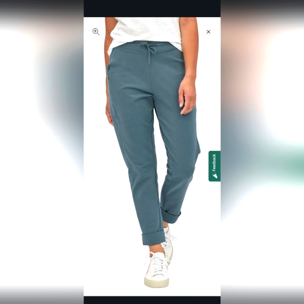 Patagonia roaming joggers